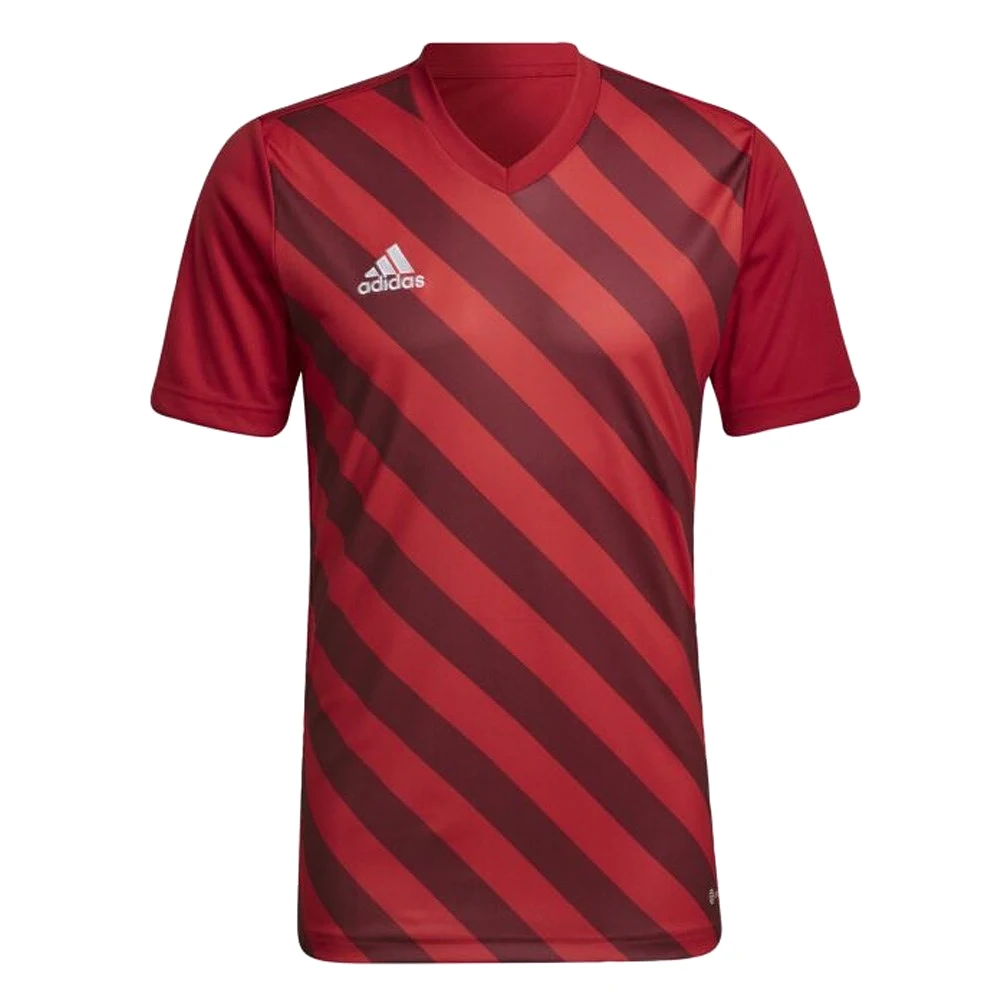 Adidas Adult Entrada 22 Graphic Jersey (Red/Red)