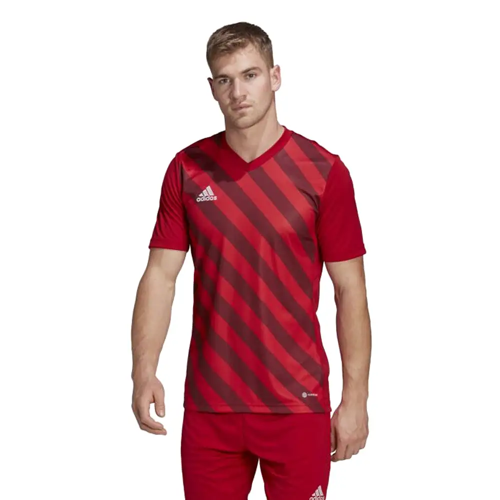 Adidas Adult Entrada 22 Graphic Jersey (Red/Red)