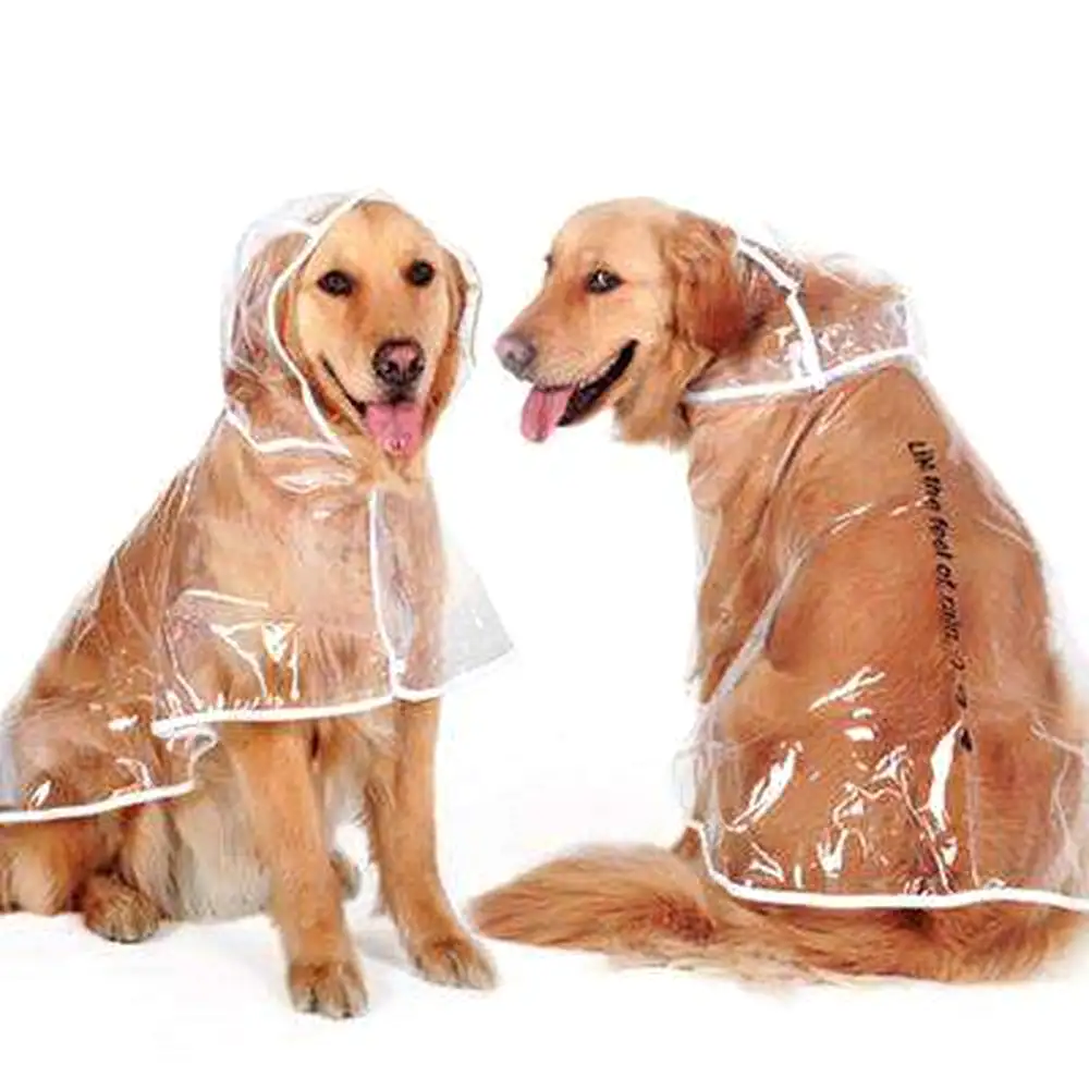 Big Dog Transparent Rain Poncho