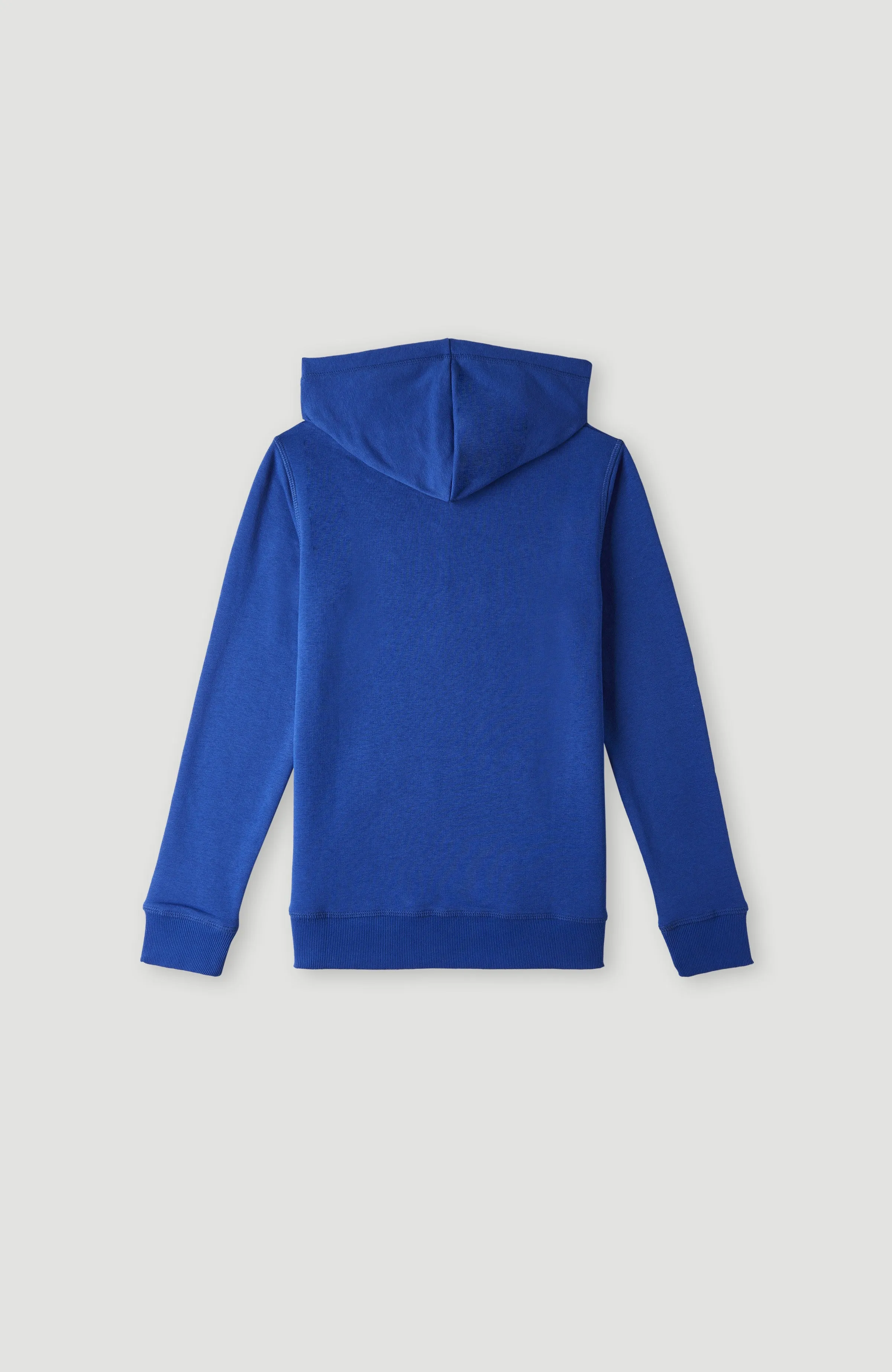 O'Neill Logo Hoodie | Surf the web Blue